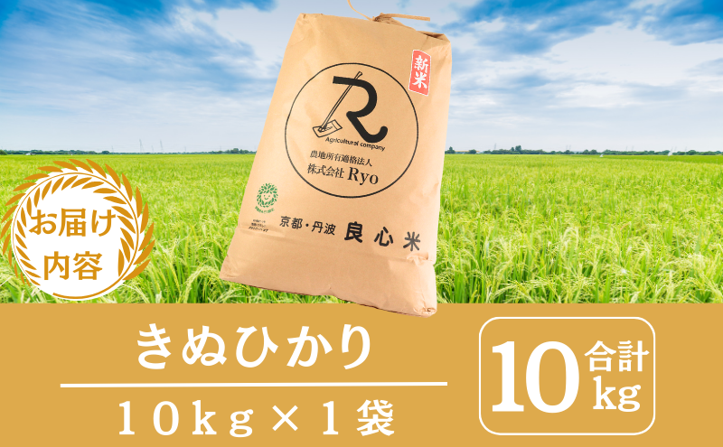令和7年産 キヌヒカリ 10kg  京都丹波産 良心米 米 白米 ごはん