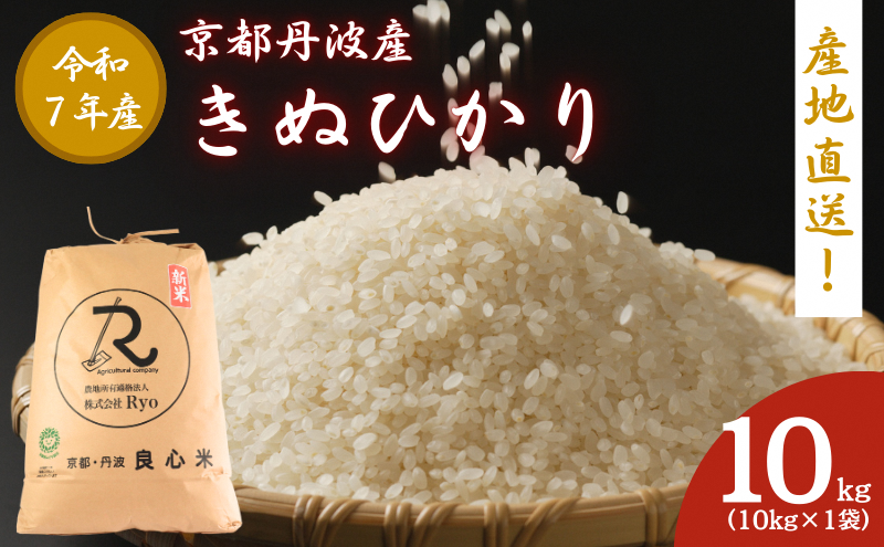 令和7年産 キヌヒカリ 10kg  京都丹波産 良心米 米 白米 ごはん