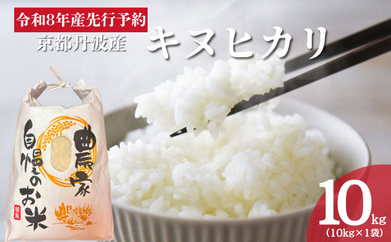 令和8年産 京都丹波産キヌヒカリ 10kg 米 お米 新米 南丹市 京都