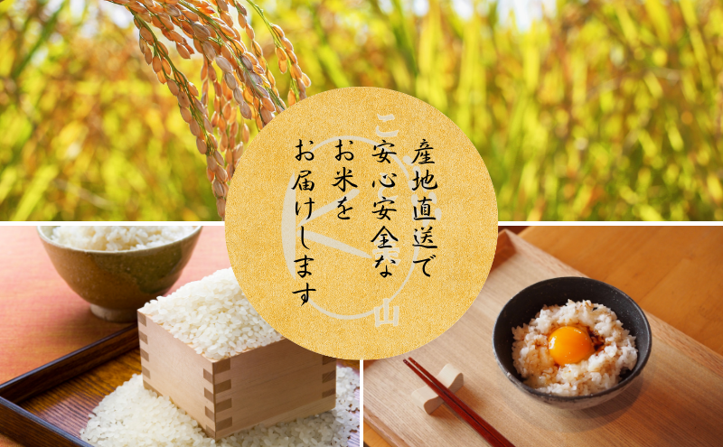 令和7年度産 にじのきらめき 10kg 美山町産 こと美山米 特別栽培米【2026年1月以降順次発送】