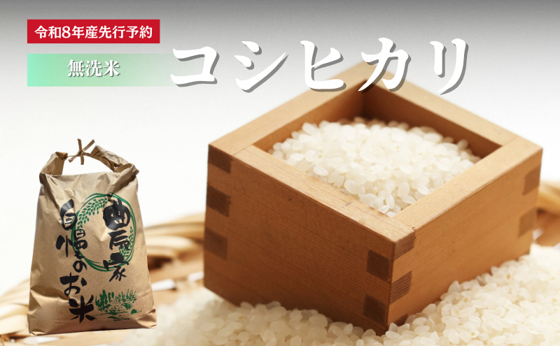 【先行予約】無洗米 令和8年産 コシヒカリ 10kg【 お米 米 コメ 精米 南丹市 】