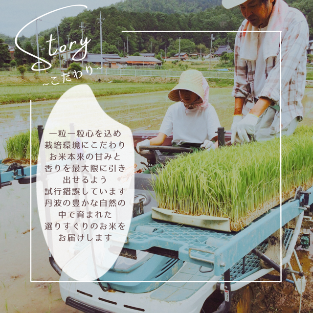 令和7年産 京都丹波産 コシヒカリ 10kg　白米