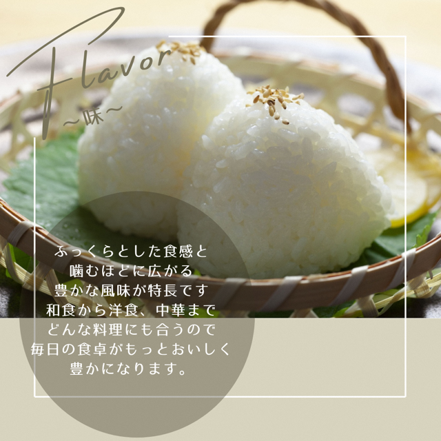 令和7年産 京都丹波産 コシヒカリ 10kg　白米