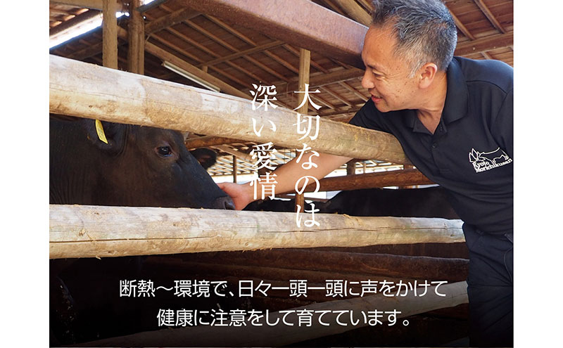 京都もり牛 霜降 スライス 500g 肩ロース・ロース