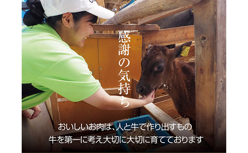 京都もり牛 霜降 スライス 500g 肩ロース・ロース