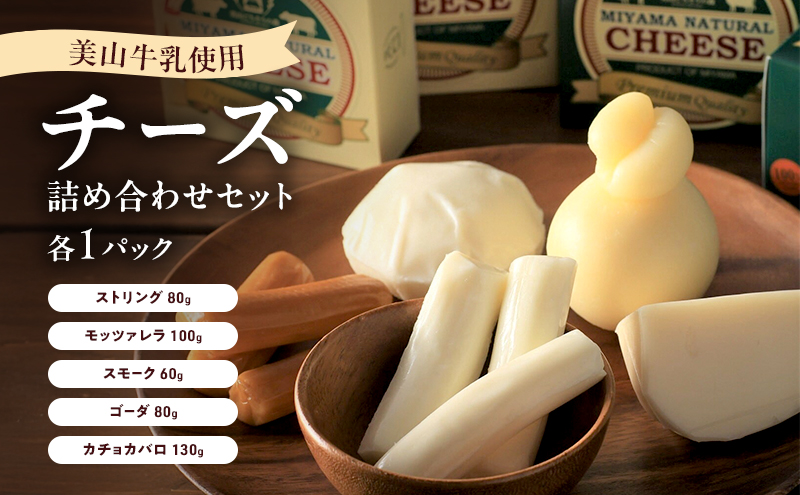 美山牛乳 チーズ 詰め合わせセット |  ストリング モッツァレラ スモーク ゴーダ カチョカバロ セット おつまみ 食べ比べ 乳製品 南丹市