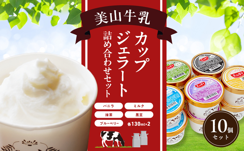 美山牛乳 カップジェラート 10個 詰め合わせセット | デザート お菓子 スイーツ 冷凍 ギフト 南丹市