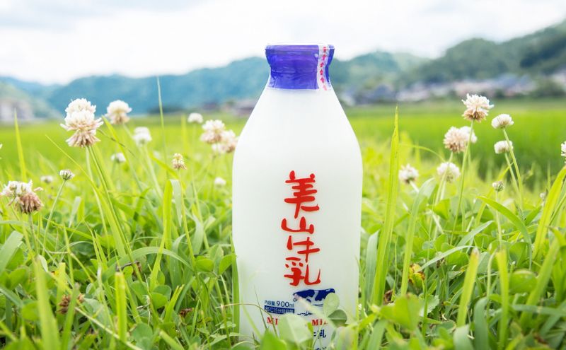 美山牛乳 ヨーグルト 詰め合わせセット | ミルク ミルク珈琲 乳製品 セット 南丹市