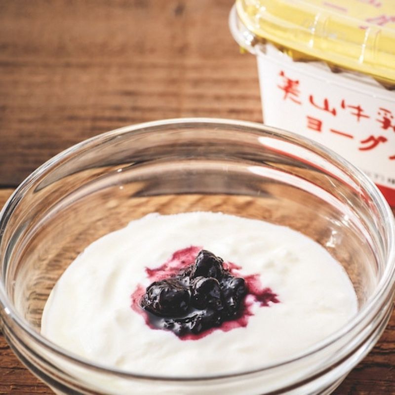 美山牛乳 ヨーグルト 詰め合わせセット | ミルク ミルク珈琲 乳製品 セット 南丹市