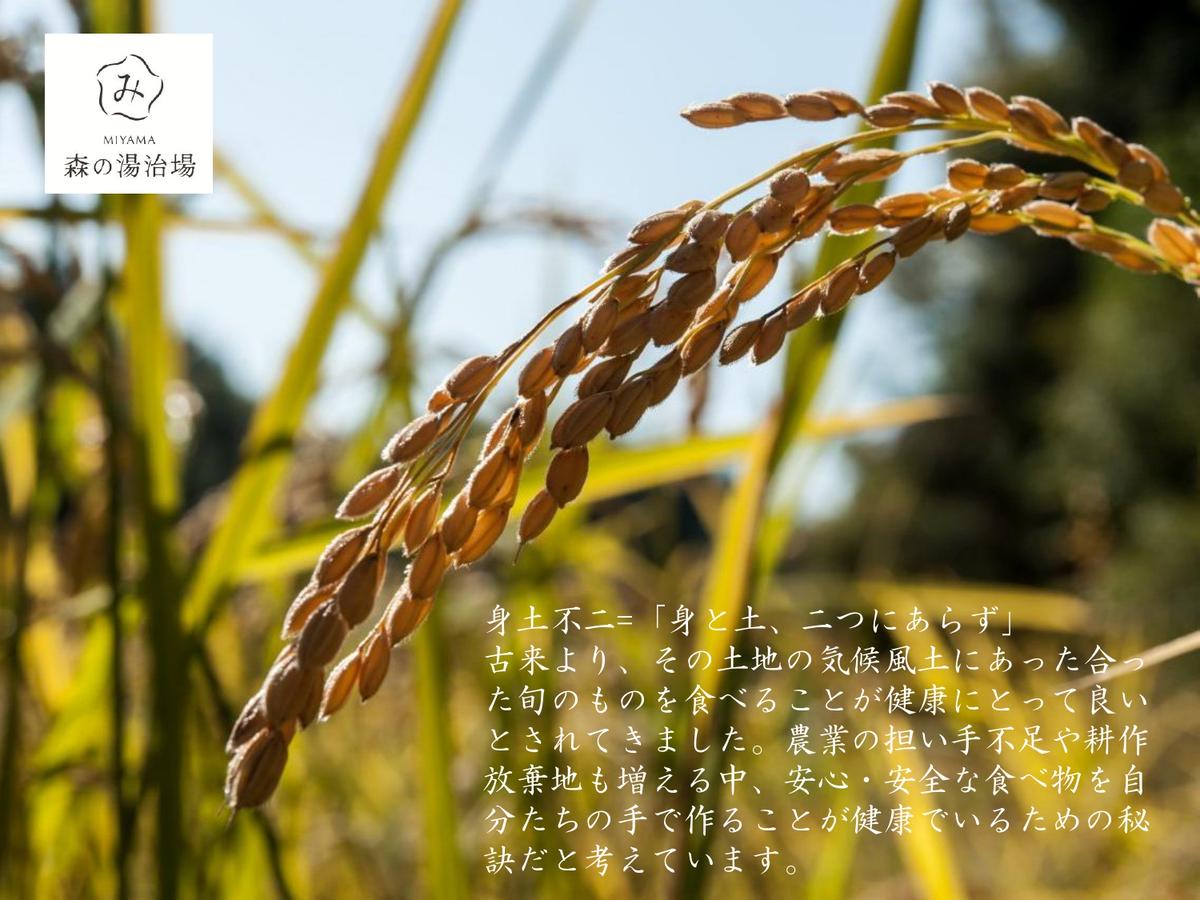 令和7年産 京都美山産 にじのきらめき 5kg　精米 コメ こめ お米 単一原料米 ごはん ご飯 京都