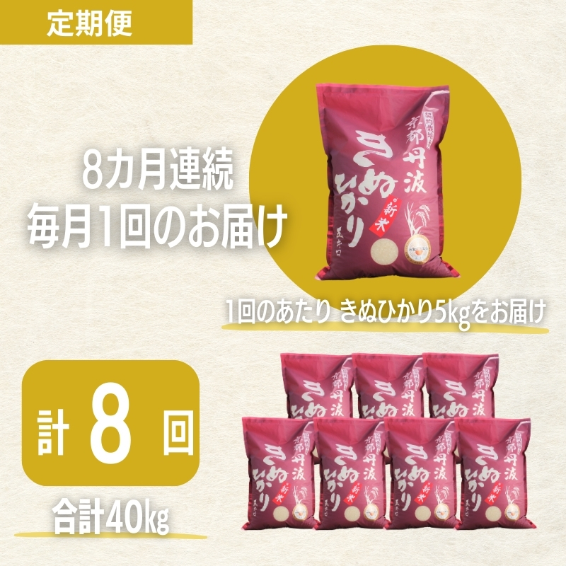 【8カ月定期便】令和7年産 京都丹波産 きぬひかり 5kg 合計40kg