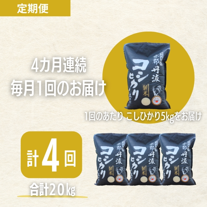 【4カ月定期便】令和7年産 京都丹波産 こしひかり 5kg 合計20kg