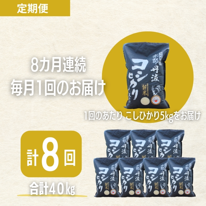 【8カ月定期便】令和7年産 京都丹波産 こしひかり 5kg 合計40kg
