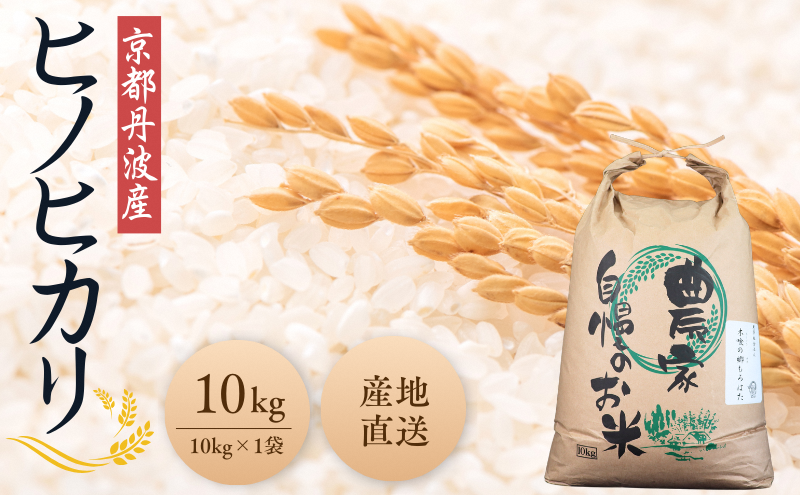 令和7年産 京都丹波産ヒノヒカリ 10kg お米 米 精米 白米