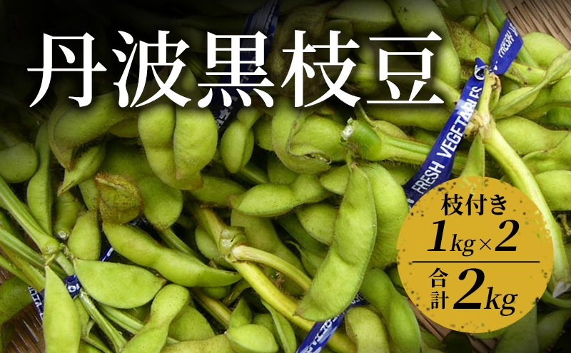 丹波黒枝豆　1kg（枝付き）×2 | 野菜 えだまめ えだ豆 おつまみ 京都府 南丹市
