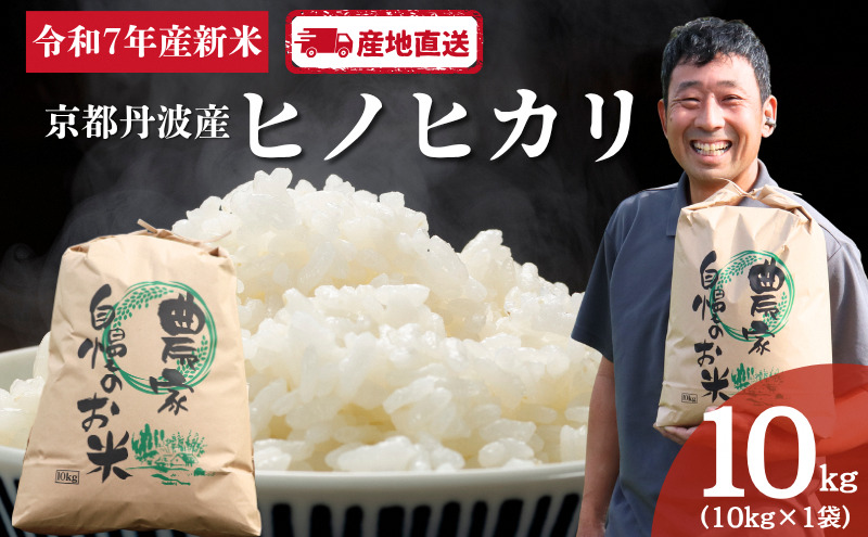 京都　丹波産　ヒノヒカリ　10kg | お米 米 コメ 精米 白米 ご飯 ごはん 京都 南丹市