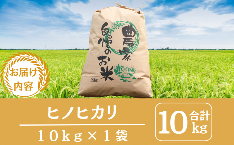 京都　丹波産　ヒノヒカリ　10kg | お米 米 コメ 精米 白米 ご飯 ごはん 京都 南丹市