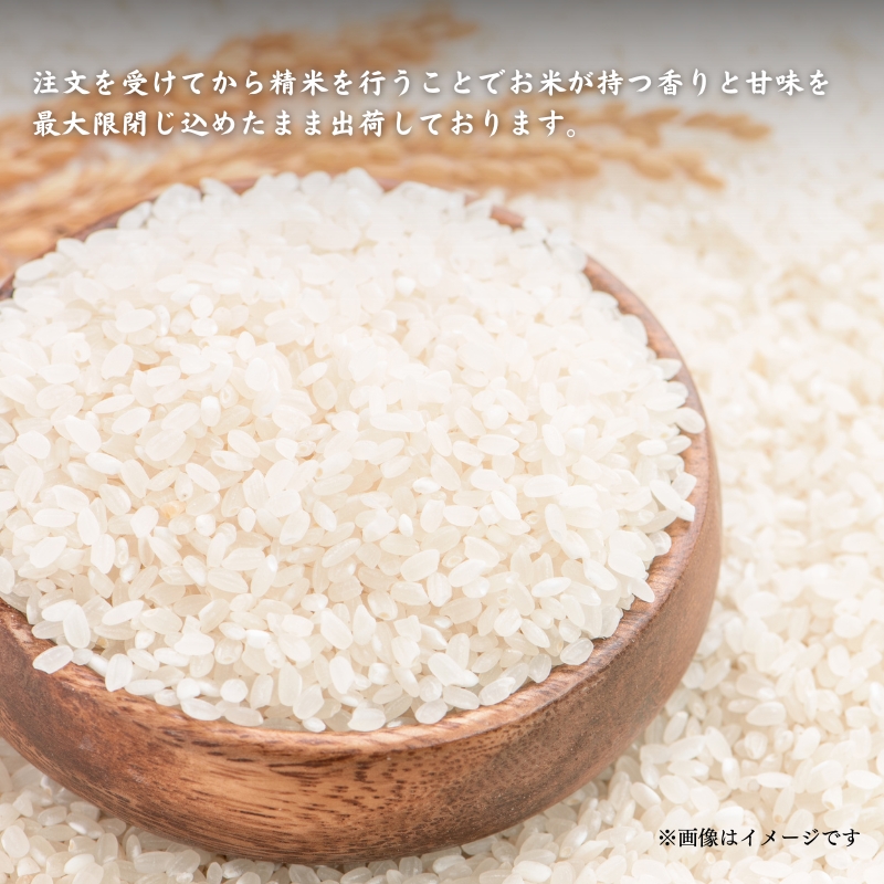 【予約受付】定期便3回 令和8年度産 新米 にじのきらめき 5kg 美山町産 こと美山米