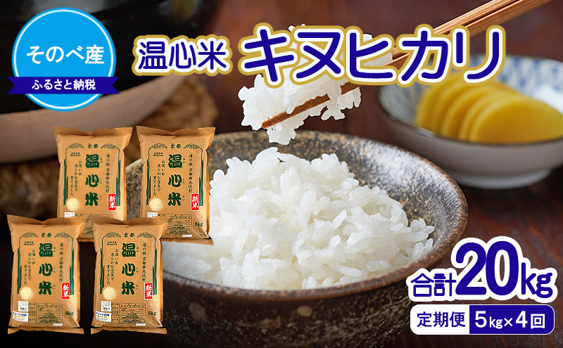 【定期便】キヌヒカリ5kg×4回　合計20kg　令和7年度産　そのべ産 温心米　米 20kg 単一原料米 きぬひかり 丹波 精米 白米 こめ コメ 京都