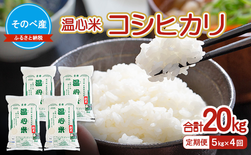 【定期便】コシヒカリ5kg×4回　合計20kg　令和7年度産　のべ産 温心米 お米 20kg 単一原料米 こしひかり 丹波 精米 白米 こめ コメ 京都