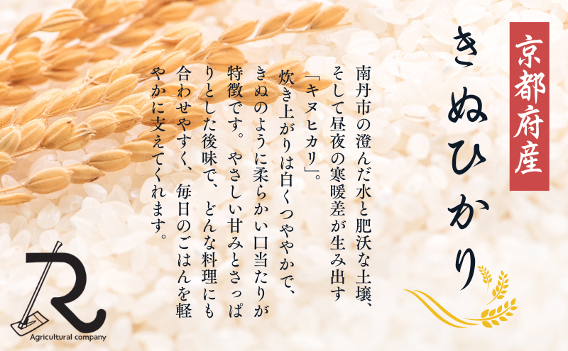 令和7年産 キヌヒカリ 10kg  京都丹波産 良心米 米 白米 ごはん