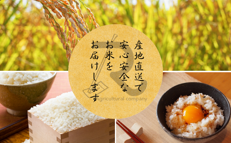 令和7年産 新米 にじのきらめき 10kg  京都丹波産 良心米 米 白米 ごはん