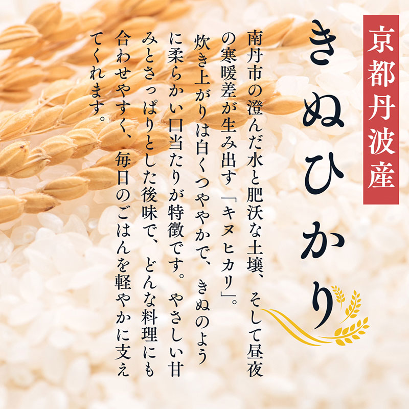 米粉うどん 10食セット　うどん 小麦粉不使用 グルテンフリー 冷凍 保存食 個包装 麺 京都府 南丹市