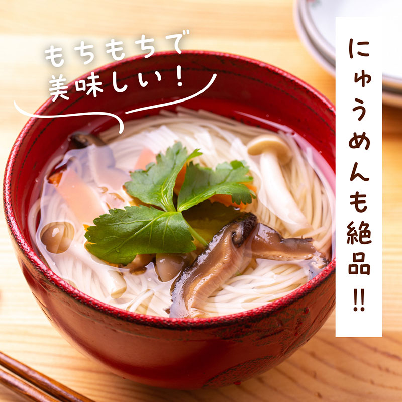 米粉そうめん 10食セット　そうめん 小麦粉不使用 グルテンフリー 冷凍 保存食 個包装 素麺 京都府 南丹市