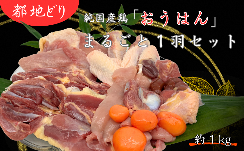 都地どり　「おうはん」　まるごと1羽セット　地鶏 鶏肉 むね ささみ 皮 モモ 手羽先 手羽中 ハツ 砂肝 レバー 玉ひも 京都府 南丹市