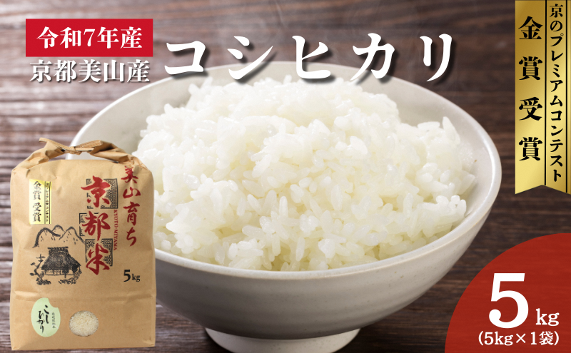 令和7年産 京都丹波産コシヒカリ 5kg　米 こしひかり 精米 白米 ごはん 京都府 丹波