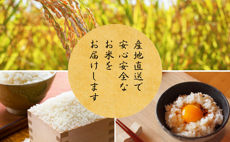 縲蝉サ、蜥8蟷エ逕」譁ー邀ウ 莠育エ縲 莠ャ驛ス荳ケ豕「逕」 繧ウ繧キ繝偵き繝ェ 逵溘ョ螟ァ蝨ー 10kg 譁ー邀ウ26