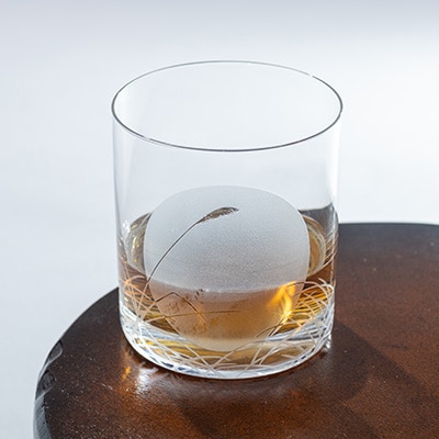 ã¹ãŒããŒã ãŒã³ãªãŒã«ãã°ã©ã¹ãé
éäžå¯å°åïŒé¢å³¶ã»æ²çžçãã1204685ã