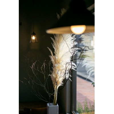 cinq pain(繧オ繝ウ繧ッ 繝代Φ)莠コ豌励ョ繝代Φ隧ー繧∝粋繧上○繧サ繝繝医宣埼∽ク榊庄蝨ー蝓滂シ夐屬蟲カ繝サ蛹玲オキ驕薙サ豐也ク逵後サ譚ア蛹励サ荵晏キ槭代1272530縲