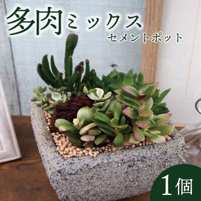 å€èæ€ç©ããã¯ã¹ã»ã¡ã³ããããä»ç«ãŠ1åãé
éäžå¯å°åïŒé¢å³¶ã»æ²çžçãã1697819ã