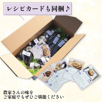 なす3~4種類おまかせ10本!(水なす・フルーツなす・千両なす・ふわとろ長なす)【1613688】