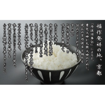 【期間限定】令和7年産 米 ひとめぼれ 5kg 京都府久御山町 大人気のお米(精米)5キロをお届け【1658242】