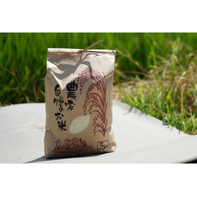 【期間限定】令和7年産 米 ひとめぼれ 5kg 京都府久御山町 大人気のお米(精米)5キロをお届け【1658242】