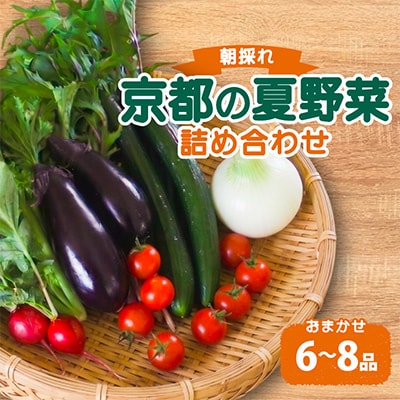 夏野菜 6〜8種 セット　京都府久御山町【配送不可地域：離島】【1623427】