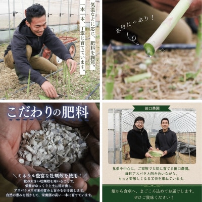 【訳あり】アスパラガス1kg 2026年産 朝採りアスパラ　S〜2Lサイズを農家直送でお届け【配送不可地域：離島】【1733760】