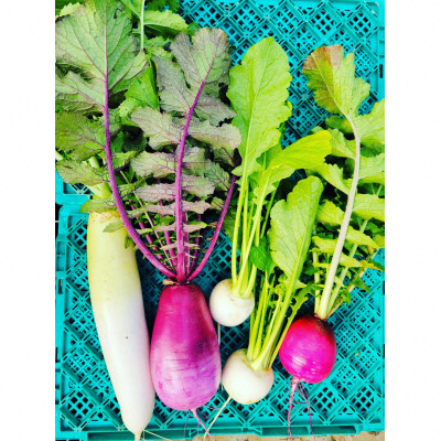 險ウ縺ゅj縲蟄」遽縺ョ驥手除繧サ繝繝4縲6蜩∬ゥー繧∝粋繧上○縲1613720縲