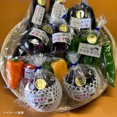 【京野菜】西村農園の旬の野菜詰め合わせ　6〜10種類【配送不可地域：離島】【1520889】