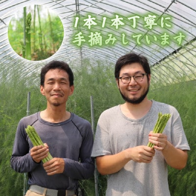 【先行受付】2026年産 数量限定 アスパラガス 1kg L〜2Lサイズ 京都府久御山町産 朝採り【配送不可地域：離島】【1701542】