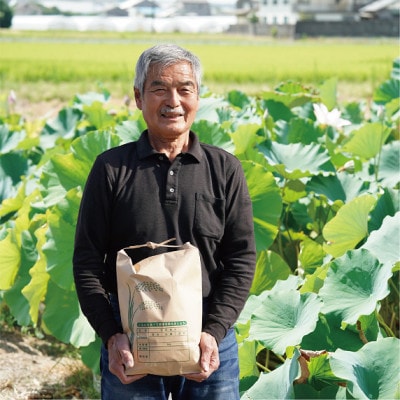 米 ヒノヒカリ 計10kg 京都府 久御山町産　令和7年産米 精米【1752616】
