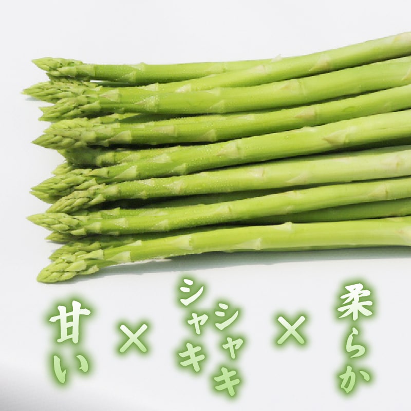 【先行受付】2026年産 数量限定 アスパラガス 1kg L〜2Lサイズ 京都府久御山町産 朝採り【配送不可地域：離島】【1701542】