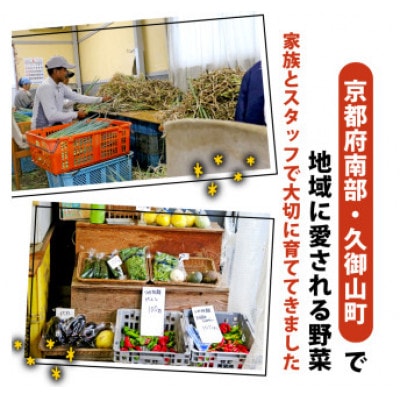 【訳アリ】たまねぎ 5kg　京都府久御山町産【1621127】