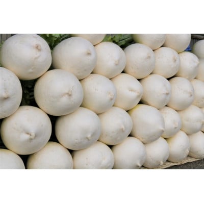 京éœåºä¹
埡山 èè·é¢å€§æ ¹(æ·å€§æ ¹)4æ¬ããã§ããç
®ç©ã«ãŽã£ãããé
éäžå¯å°åïŒé¢å³¶ã»åæµ·éã»æ²çžçãã1658227ã