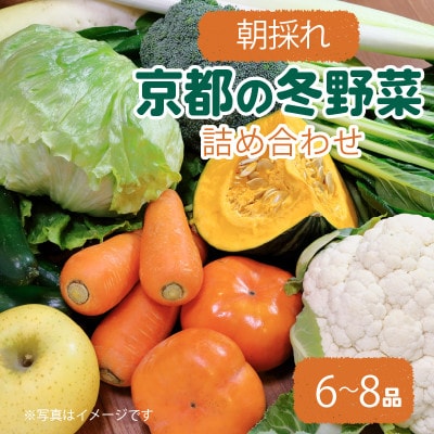 京都 朝採れ 冬野菜セット 6〜8種【配送不可地域：離島】【1669703】