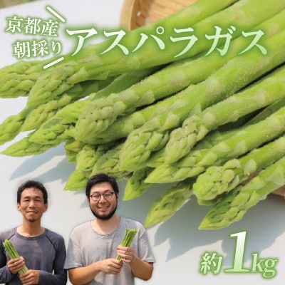 【先行受付】2026年産 数量限定 アスパラガス 1kg L〜2Lサイズ 京都府久御山町産 朝採り【配送不可地域：離島】【1701542】