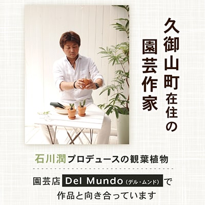 黒松盆栽&抹茶クッキーセット【1047275】