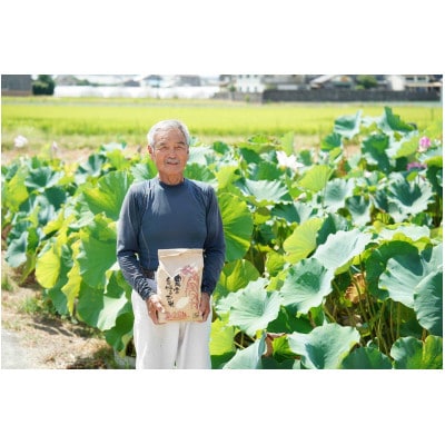 【期間限定】令和7年産 米 ひとめぼれ 5kg 京都府久御山町 大人気のお米(精米)5キロをお届け【1658242】